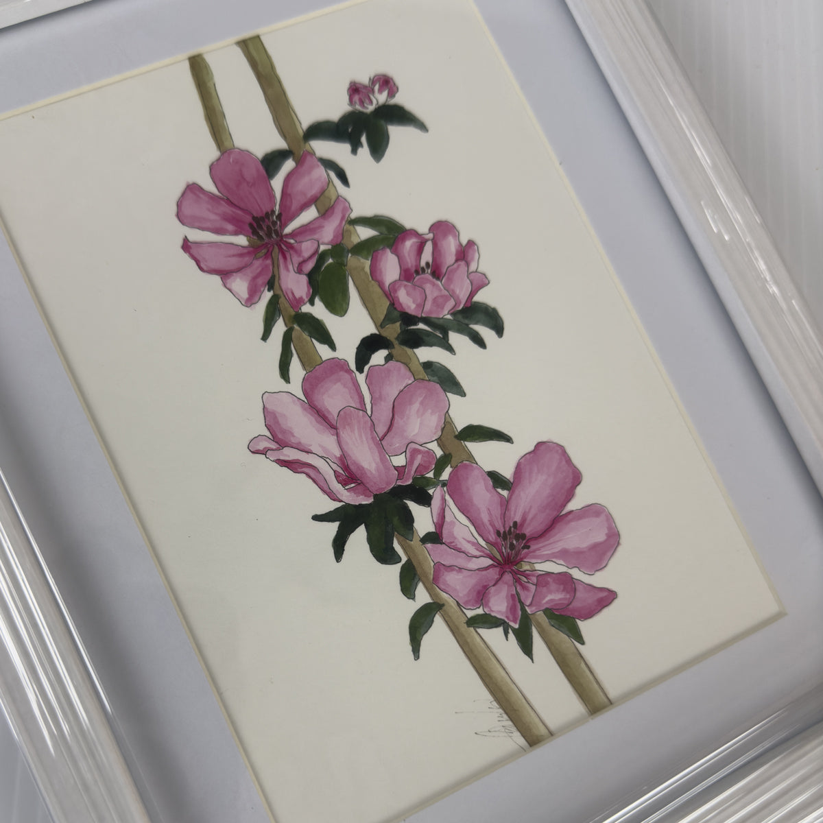 River Rose Framed | Original Artwork | Australian Art | Watercolour  Artwork Frianki