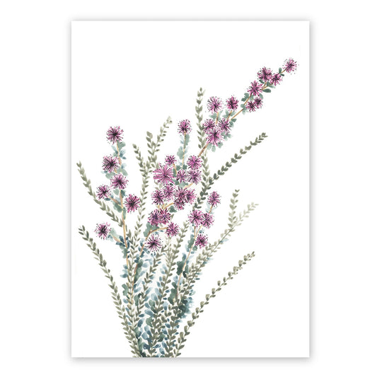 Kunzea Flowers | Spring Collection | Australian Fine Art Print | Watercolour Mixed Media  Artwork Frianki