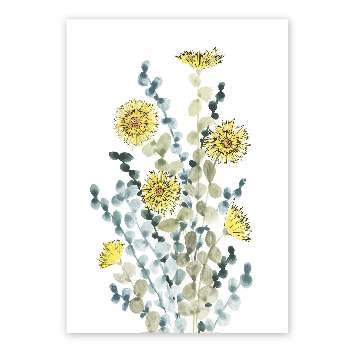 Showy Daisy | Spring Collection | Australian Fine Art Print | Watercolour Mixed Media  Artwork Frianki