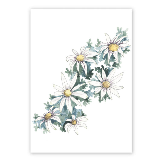Flannel Flower | Spring Collection | Australian Fine Art Print | Watercolour Mixed Media  Artwork Frianki