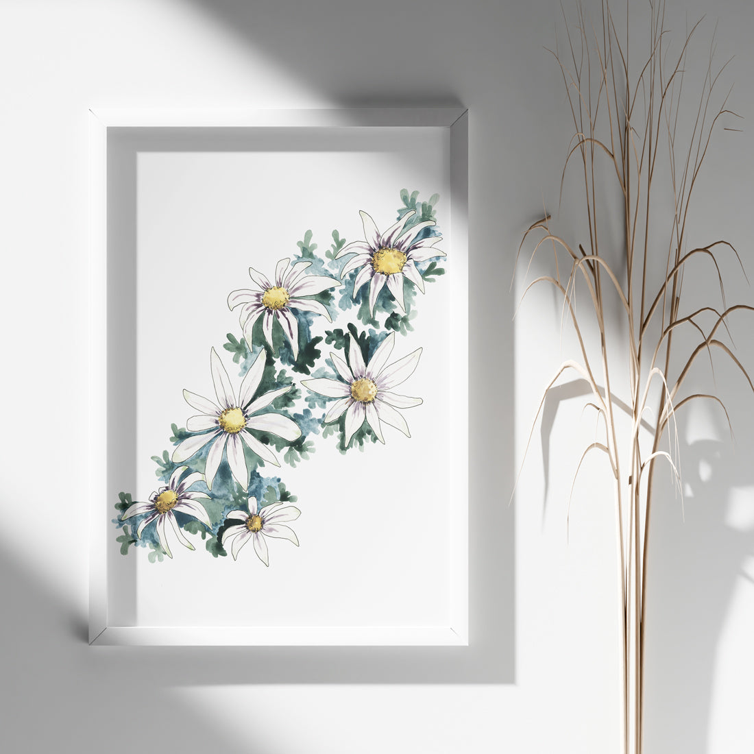 Flannel Flower | Spring Collection | Australian Fine Art Print | Watercolour Mixed Media  Artwork Frianki